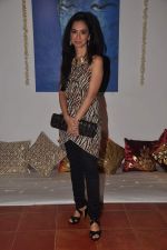 at Lavina Hansraj furnishing launch in Mumbai on 18th Dec 2011 (2).JPG